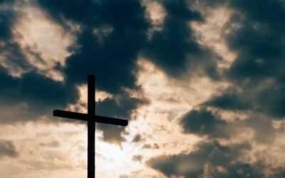 Dolor neque ipsam provident eius sint doloribus